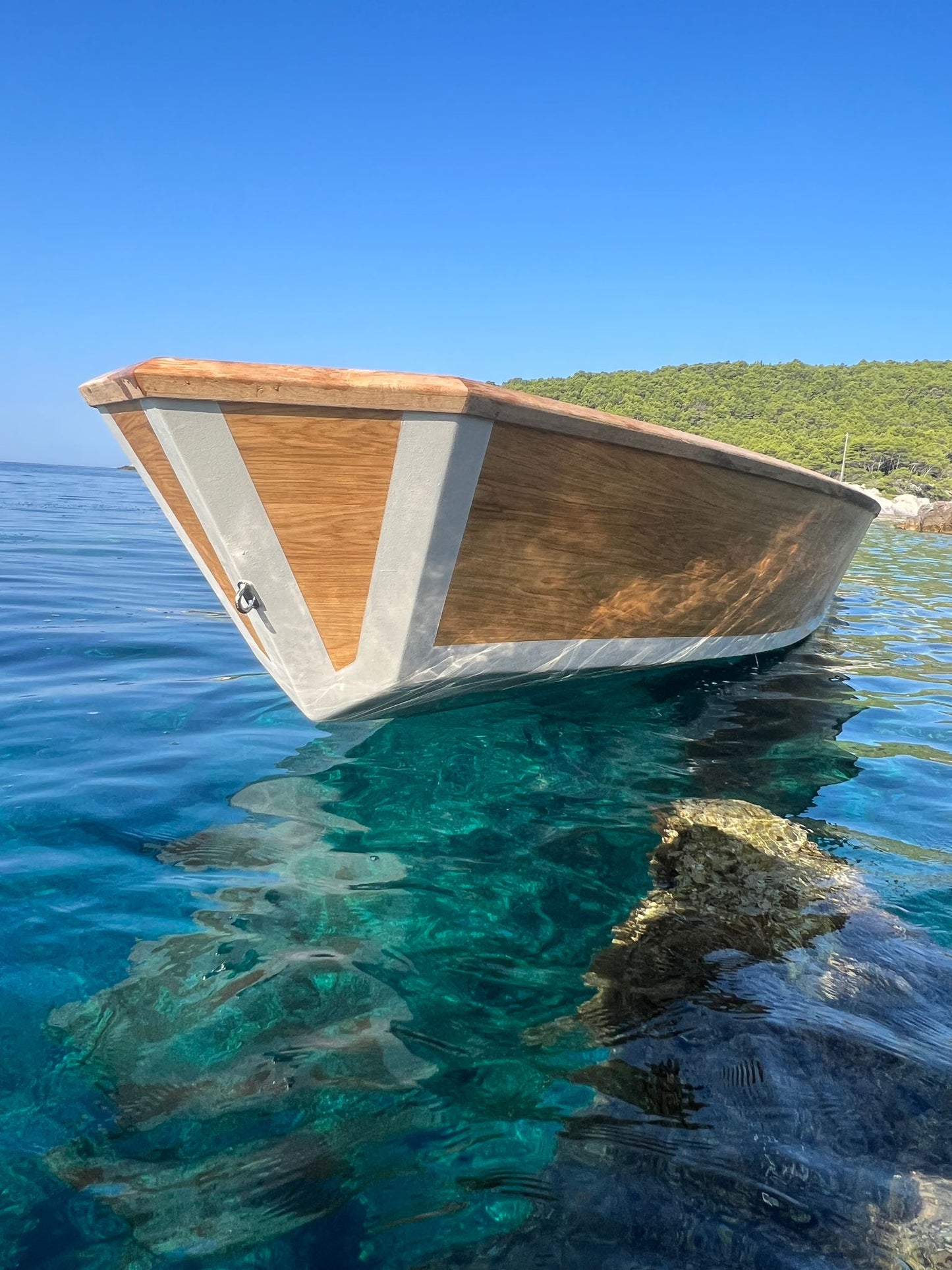 Rudi 6: NFC Sandwich Panel Based Motor Boat