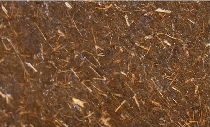 Non-Woven Laminate