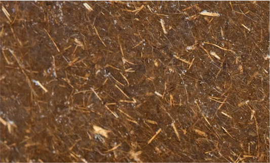 Non-Woven Laminate